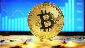 Exchange Online Quotes Cryptocurrency Graph Stock Video Video Of - 